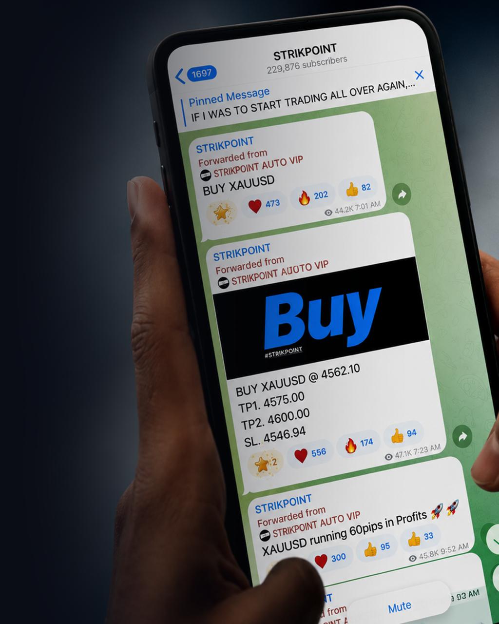 Strikepoint Telegram signal community screenshot